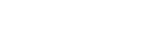 NueMeta Logo